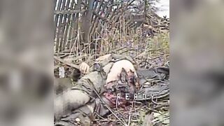 The Orc didn't understand that a wooden fence is not protection