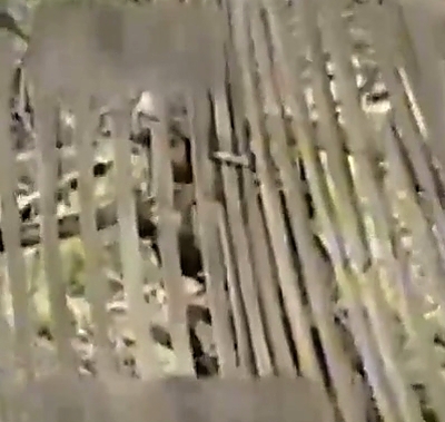 The Orc didn't understand that a wooden fence is not protection