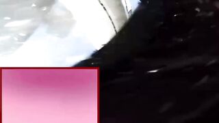 Moment a United Airlines plane strikes bakery truck during final approach