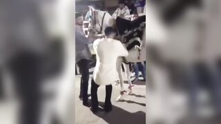 Man Preparing Horse For Wedding Celebration Suffers Stroke, Dies