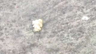 LoL   "Intelligent camouflage failed"