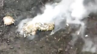 LoL   "Intelligent camouflage failed"