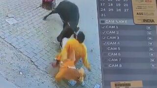 Man Tries To Scare A Stray Bull And Finds Out Fast