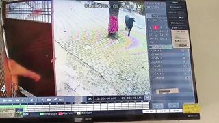 Man Tries To Scare A Stray Bull And Finds Out Fast
