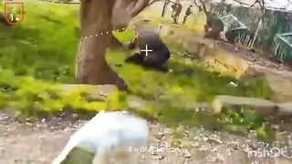 Eliminating an armed Ukr civilian.