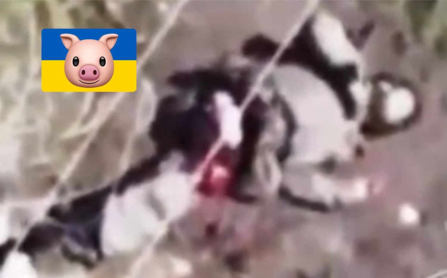 Drone mangles Ukrat leg.
