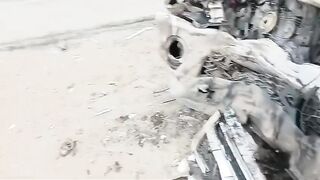 4 dead cuz who needs seatbelts