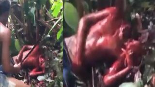 A Gruesome Video Shows Man Beheaded by Two Suspects with Cutlasses in Forested Area