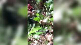 A Gruesome Video Shows Man Beheaded by Two Suspects with Cutlasses in Forested Area