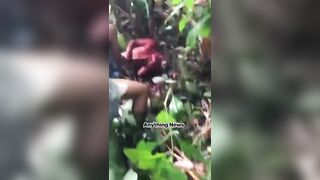A Gruesome Video Shows Man Beheaded by Two Suspects with Cutlasses in Forested Area
