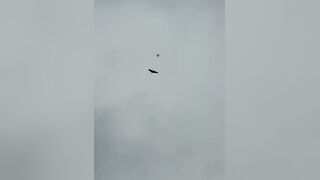 Taking a UA drone out of combat