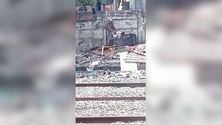 Love Is Beautiful In Brazil