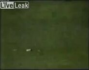 Classic: Chechen freedom fighters(beheading)
