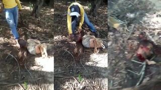 Classic : Beheading in the jungle