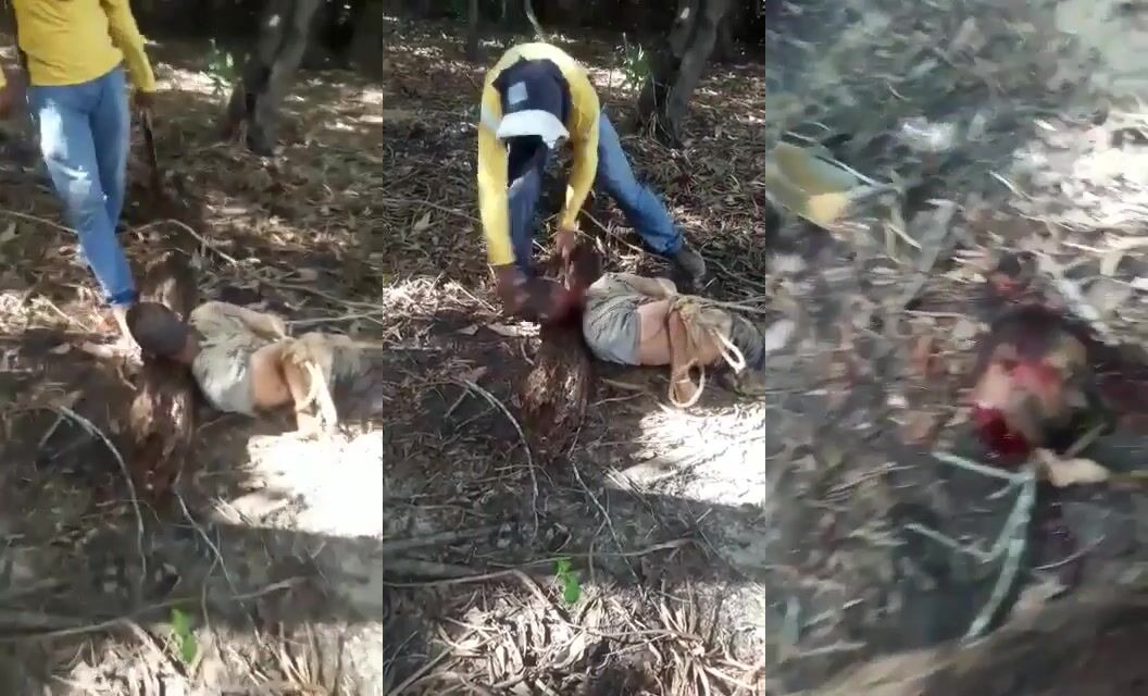 Classic : Beheading in the jungle