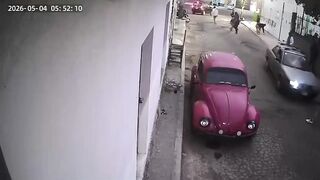 Dude Critically Injured in Neighbor Stone Fight After Concrete Block Smashes Head