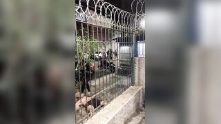 Kicked Repeatedly on the Ground: Shocking Assault on Vasco Supporter After 2-2 Draw