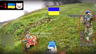 Crawls several meters only to be killed.