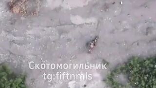 Crawls several meters only to be killed.
