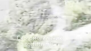 Crawls several meters only to be killed.