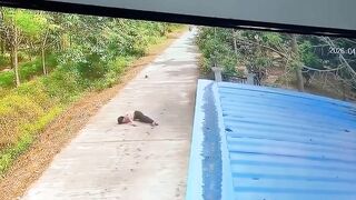 Motorcyclist Loses Control, Life On The Road In Thailand