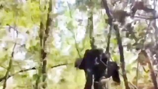 Dead Ukrainian Soldiers Compilation