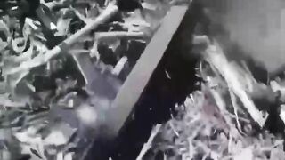 Dead Ukrainian Soldiers Compilation