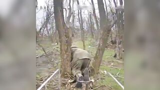 LoL  "Excellent camouflage "