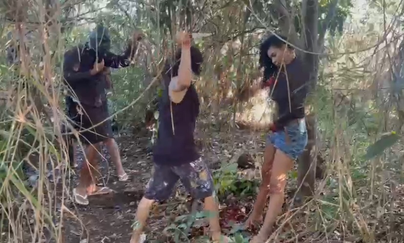 Brazilian Gang Mutilates Woman, Hangs Her from Tree and Stabs Her to Death
