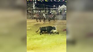 Drunk Idiot Taunts Bull and Pays With His Life in Maxcanú