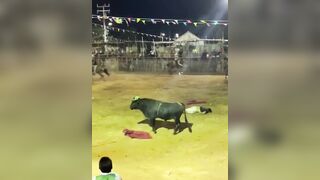 Drunk Idiot Taunts Bull and Pays With His Life in Maxcanú