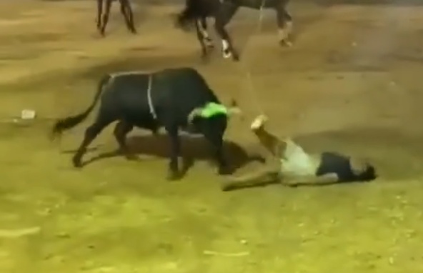 Drunk Idiot Taunts Bull and Pays With His Life in Maxcanú