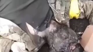 Dead Ukrainians everywhere after failed assault.