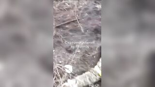 Dead Ukrainians everywhere after failed assault.