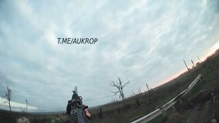 FPV drones shot down quietly, slowly and without fuss
