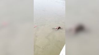 Trash Of Ganges River