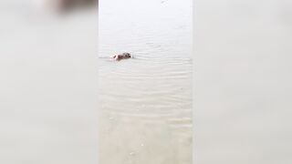 Trash Of Ganges River