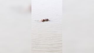 Trash Of Ganges River