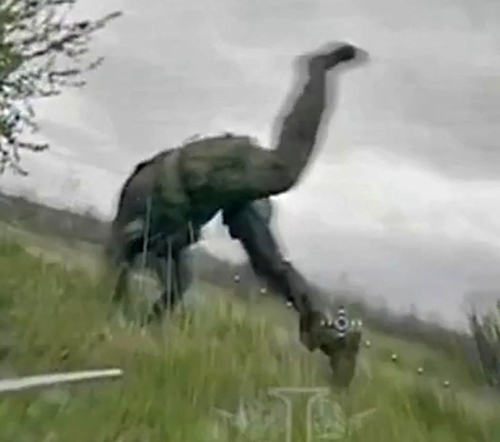 Wow, you're an acrobat
