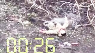 Orc torn in half by FPV drone attack