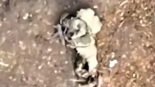 Attacks on Ukrainians