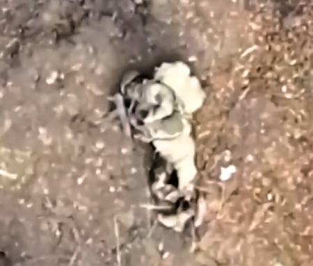 Attacks on Ukrainians