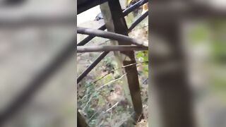 CJNG Ambush Rival Cartel Truck Killing  Templarios Sicarios