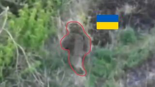 Ukrainian sniper causes the death of himself and his friend.