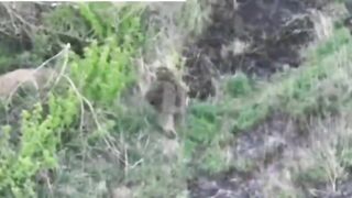 Ukrainian sniper causes the death of himself and his friend.