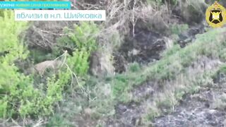Ukrainian sniper causes the death of himself and his friend.