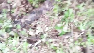 Colombian mercenaries captured near Russian border (1 part)