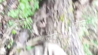 Colombian mercenaries captured near Russian border (1 part)