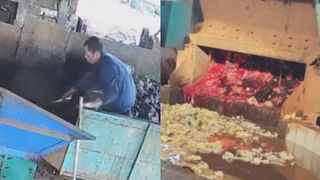 Worker Gets Caught By Rubber Mixing Mill, Dies A Horrible Way