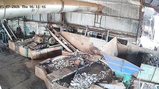 Worker Gets Caught By Rubber Mixing Mill, Dies A Horrible Way
